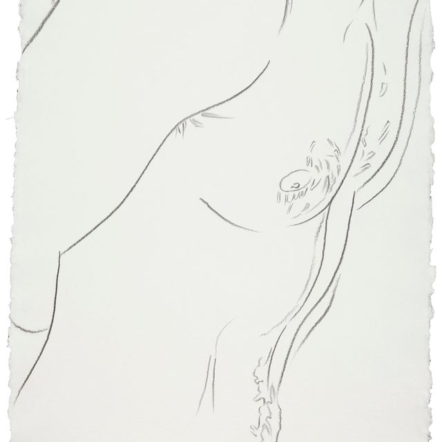 Andy Warhol — Туловище