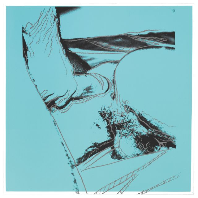 Andy Warhol — Половые органы: одна пластина (см. F. & S. II.172)