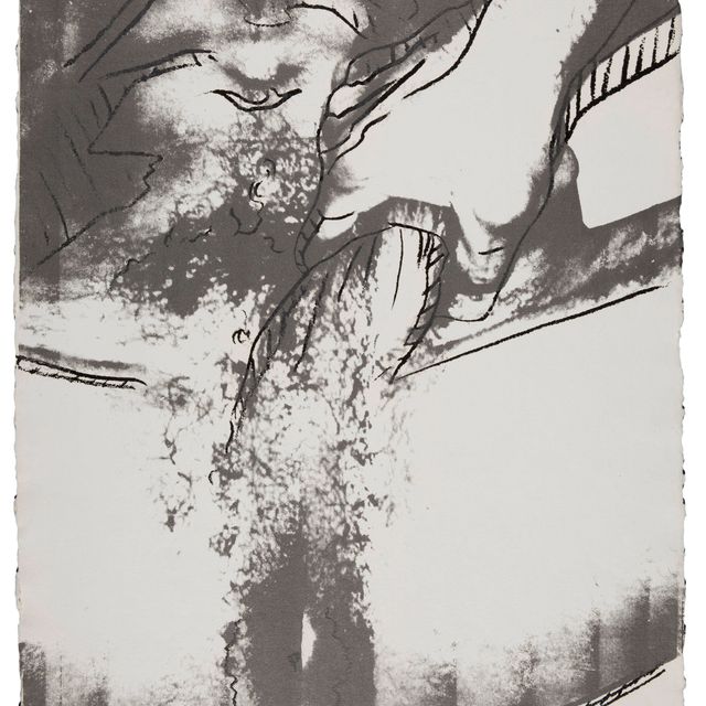 Andy Warhol — Половые органы (F. & S. II.177)