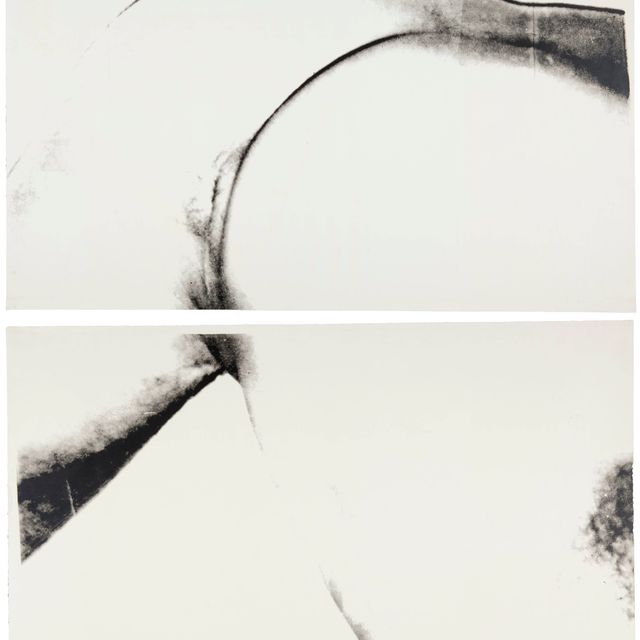 Andy Warhol — Туловище (F. & S. IIIA.2[a])