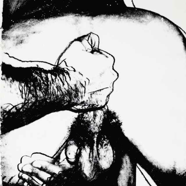 Andy Warhol — Половые органы