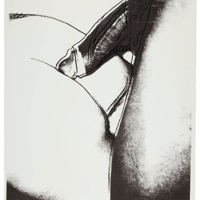 Andy Warhol — Половые органы (см. F. & S. II.174)