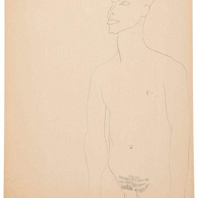 Andy Warhol — Обнаженный молодой мужчина