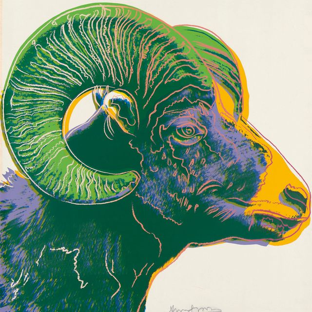 Andy Warhol — Снежный баран, из: Исчезающий вид (F. & S. II.302)