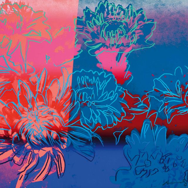 Andy Warhol — Кику : одна тарелка (F. & S. II.309)