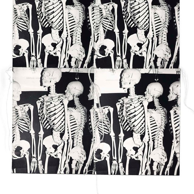 Andy Warhol — Выпуск фотографий для Parkett (Parkett 12)