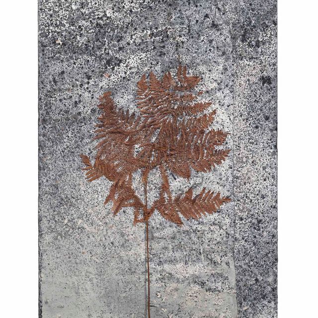 Anselm Kiefer — Йоханнис
