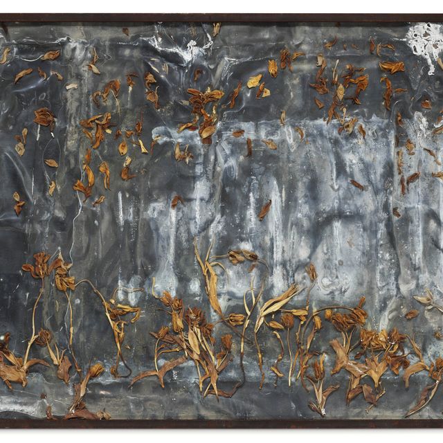 Anselm Kiefer — Мультатули