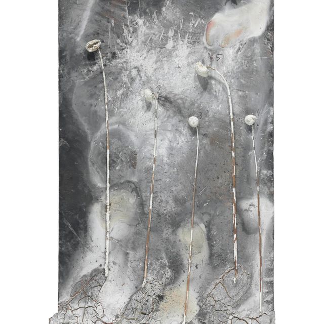 Anselm Kiefer — Смерть молодого человека