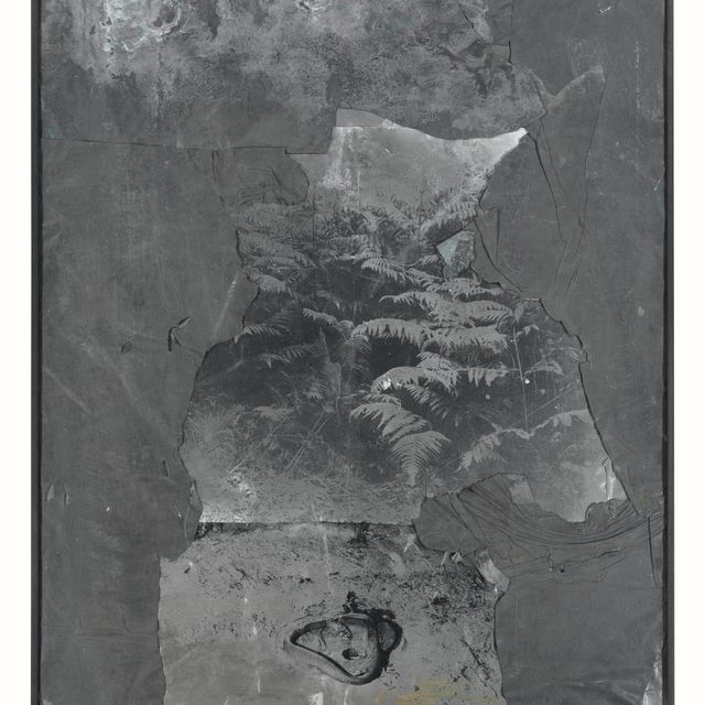 Anselm Kiefer — Лихтунг (Расчистка)