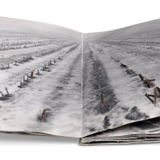 Anselm Kiefer — Был ли сагте Один таким же, как Тотен Бальдер