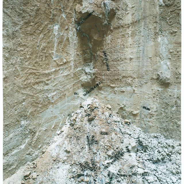 Anselm Kiefer — Штерненфолл