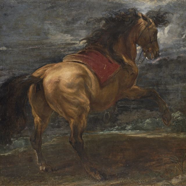 Anthony van Dyck — Вставший на дыбы жеребец