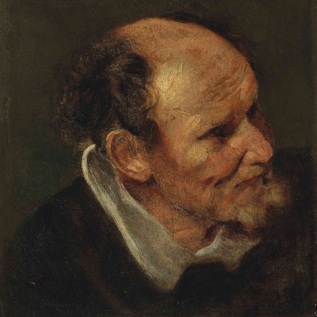 Anthony van Dyck — Исследование головы человека