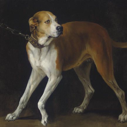 Anthony van Dyck — Любимая гончая, которую держат на цепи