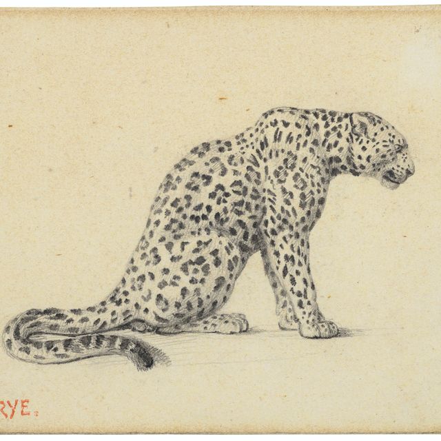 Antoine-Louis Barye — Сидящий леопард