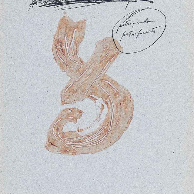 Antoni Tàpies — Две тарелки от Petrificada petrificante (Galfetti 701 и 705)