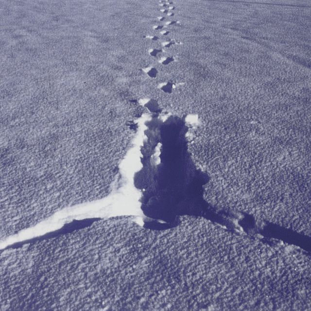 Antony Gormley — Снегопад