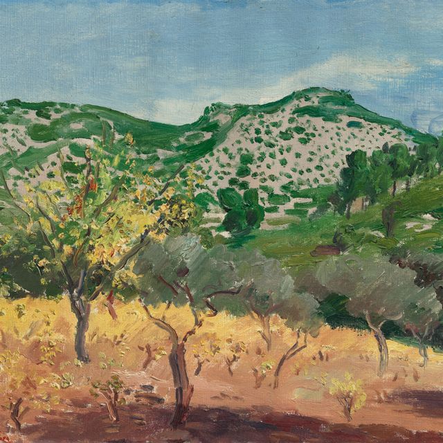 Augustus John — Оливковая роща, Прованс