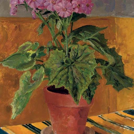 Augustus John — Цинерария