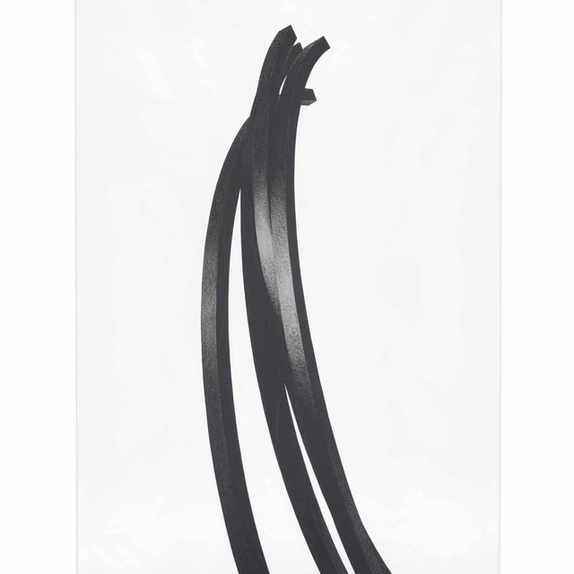 Bernar Venet — Дуги