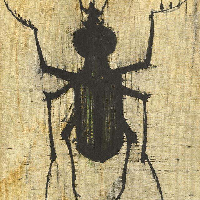 Bernard Buffet — Коллеоптер
