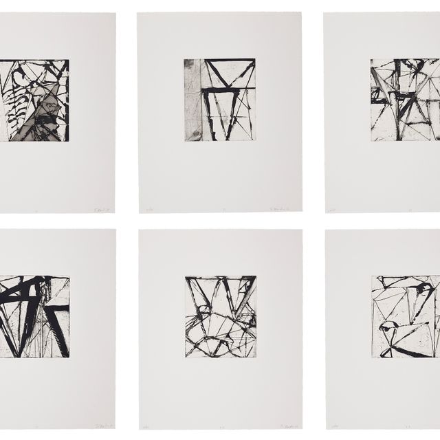 Brice Marden — Гравюры для Rexroth