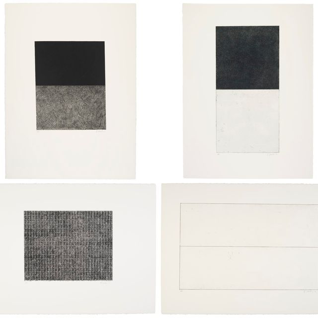 Brice Marden — Десять дней