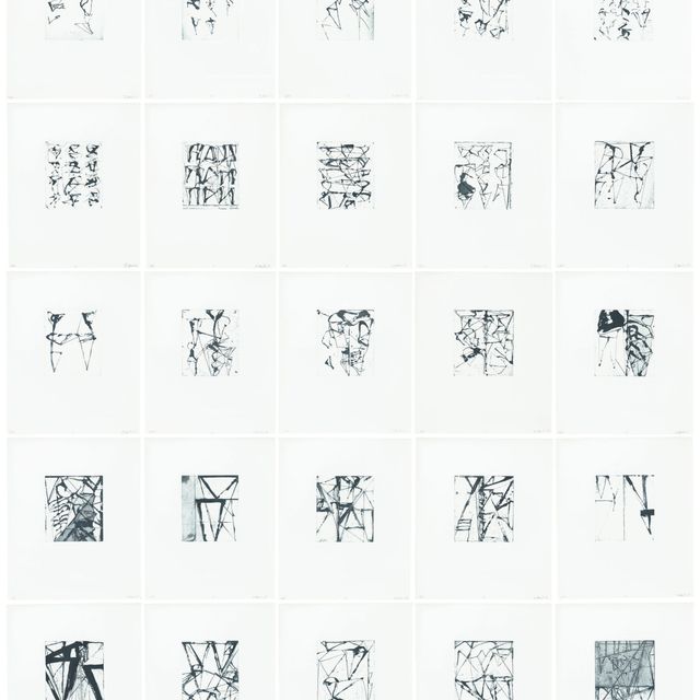 Brice Marden — Гравюры для Rexroth