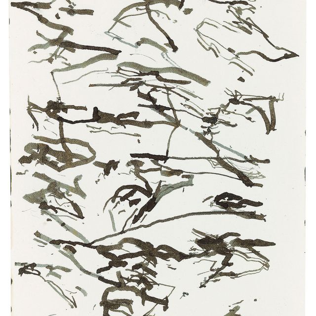Brice Marden — Гидра