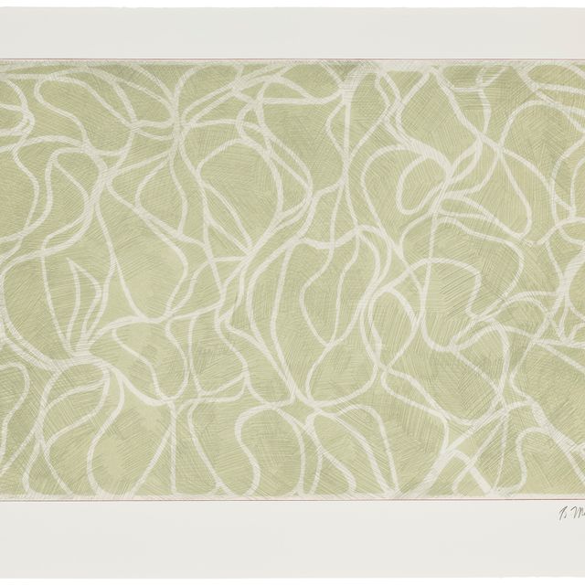 Brice Marden — Муза цвета морской волны