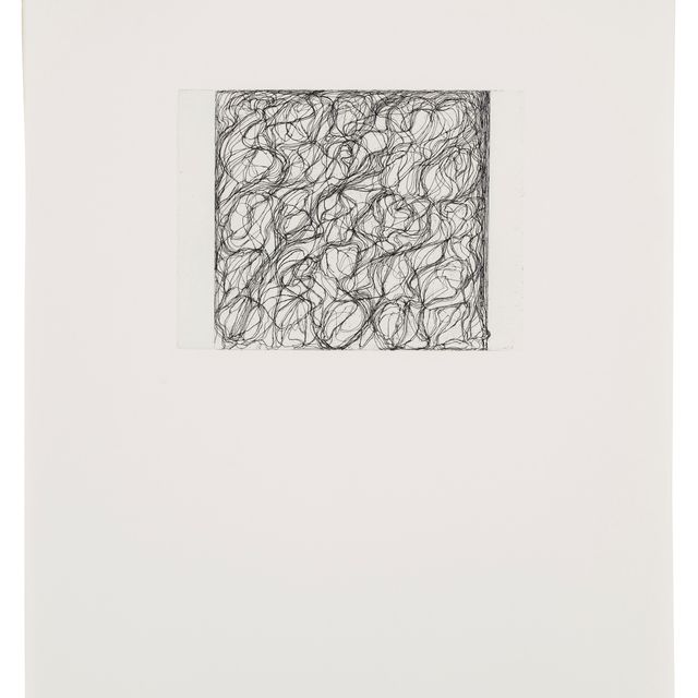 Brice Marden — Письмо с Невиса