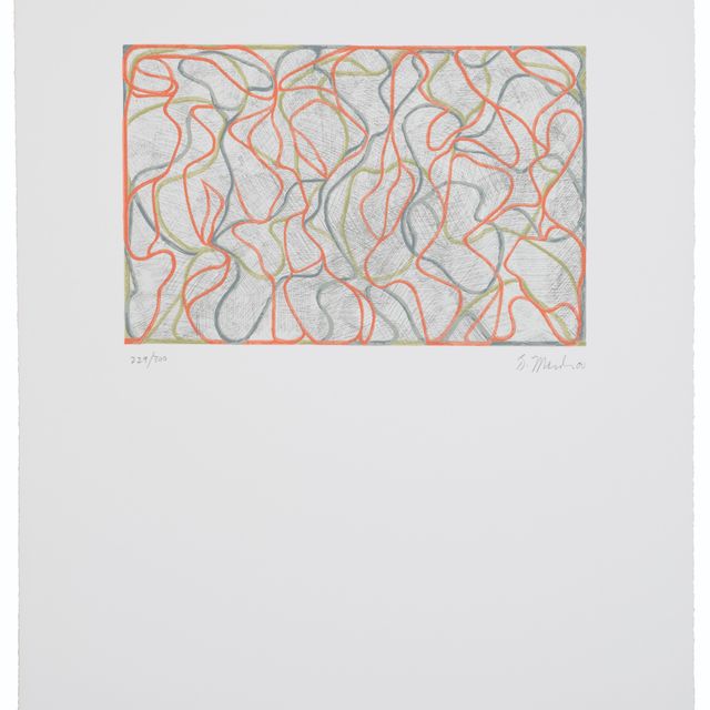 Brice Marden — Далекие музы