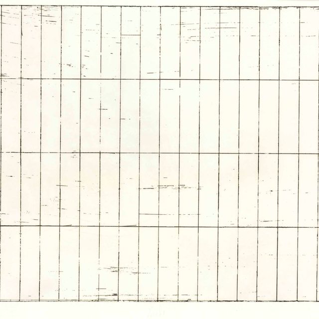 Brice Marden — Сетка I