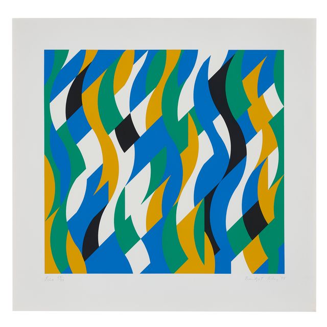 Bridget Riley — Эхо
