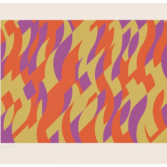 Bridget Riley — Карнавал