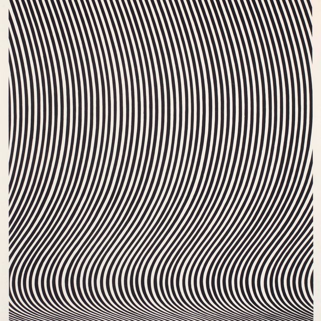 Bridget Riley — Без названия