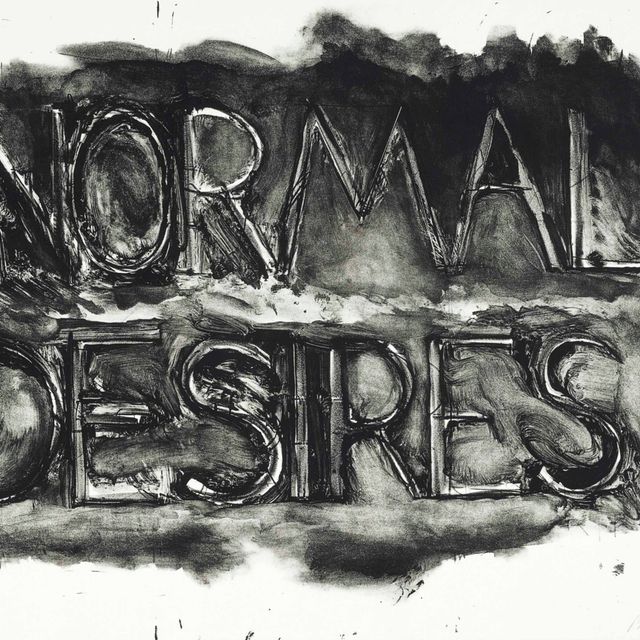 Bruce Nauman — Нормальные желания