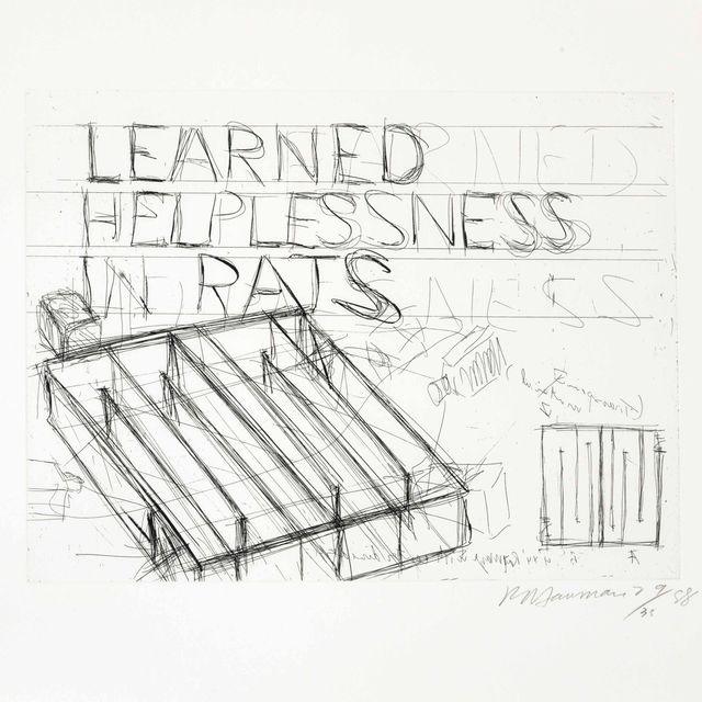 Bruce Nauman — Приобретенная беспомощность у крыс