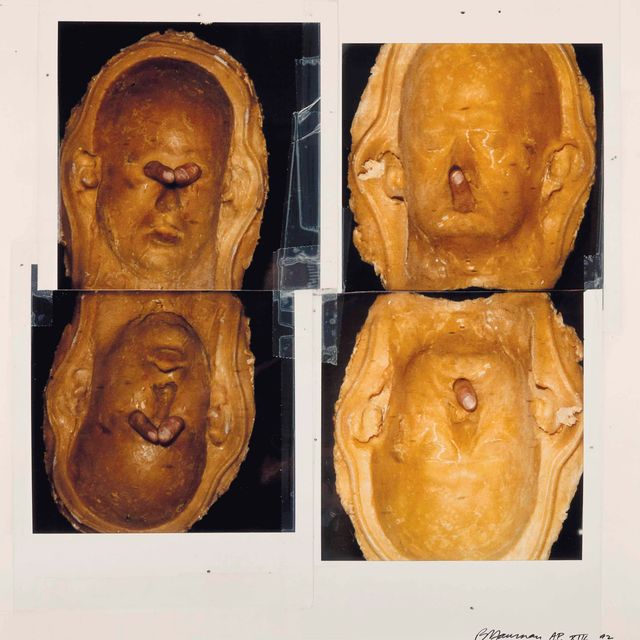 Bruce Nauman — Без названия (Новый музейный образ)