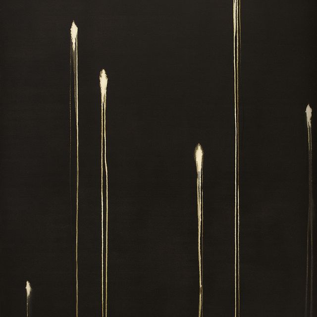 Callum Innes — Шесть идентифицированных форм