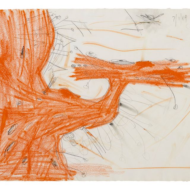 Carroll Dunham — Без названия