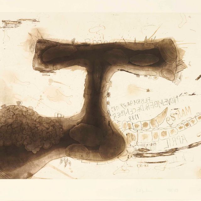 Carroll Dunham — Без названия