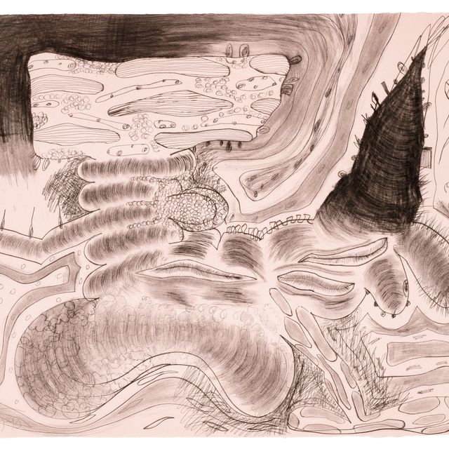 Carroll Dunham — Соприкасаясь двумя Сторонами