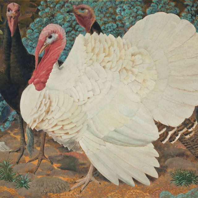 Charles White — Белая индейка