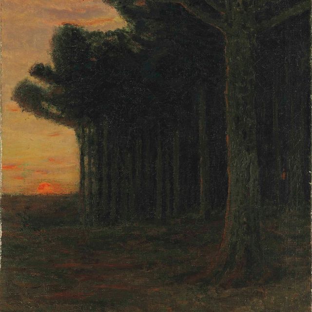 Charles White — Белые сосны, Коннектикут