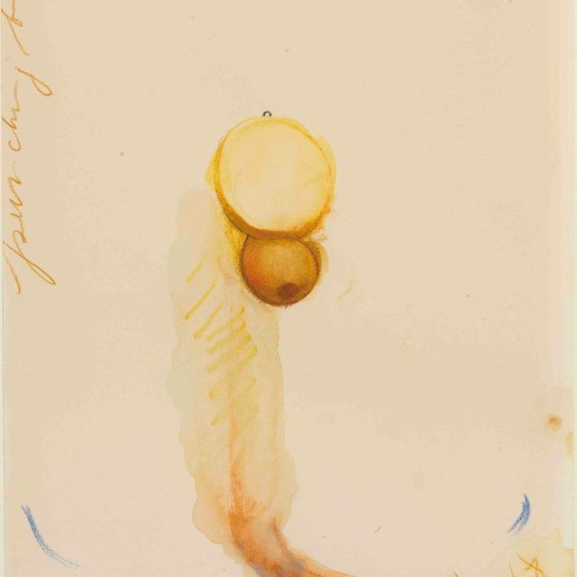 Claes Oldenburg — Эскиз боксерской груши