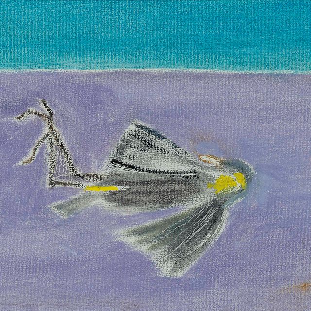Craigie Aitchison — Мертвая птица III