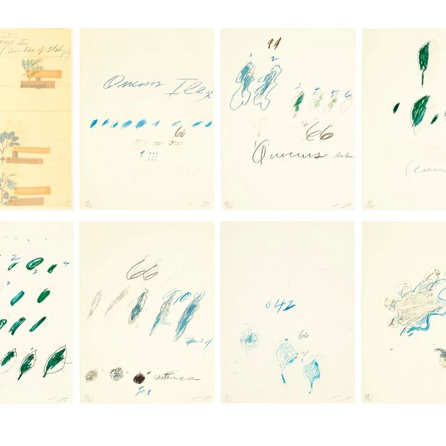 Cy Twombly — Естественная история, часть II