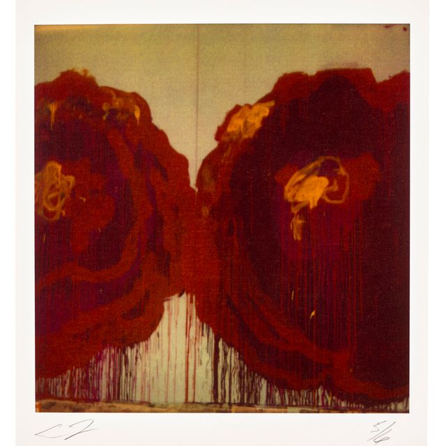 Cy Twombly — Деталь росписи (розы)